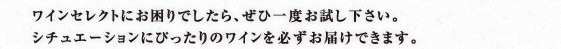 ワインセレクトにお困りでしたら、ぜひ一度お試し下さい。